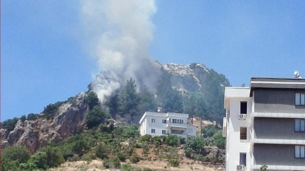 Kahramanmaraş'ta orman yangını! Ekipler kontrol altına aldı