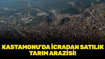Kastamonu'da icradan satılık tarım arazisi!