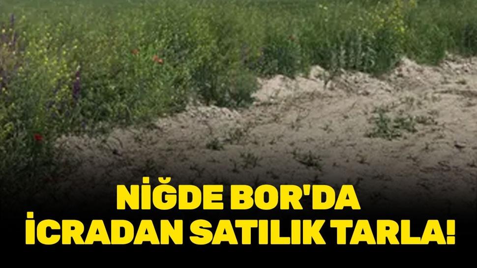 Niğde Bor'da icradan satılık tarla!