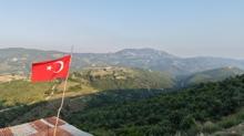 Yanan orman 6 y�l sonra k�llerinden do�du