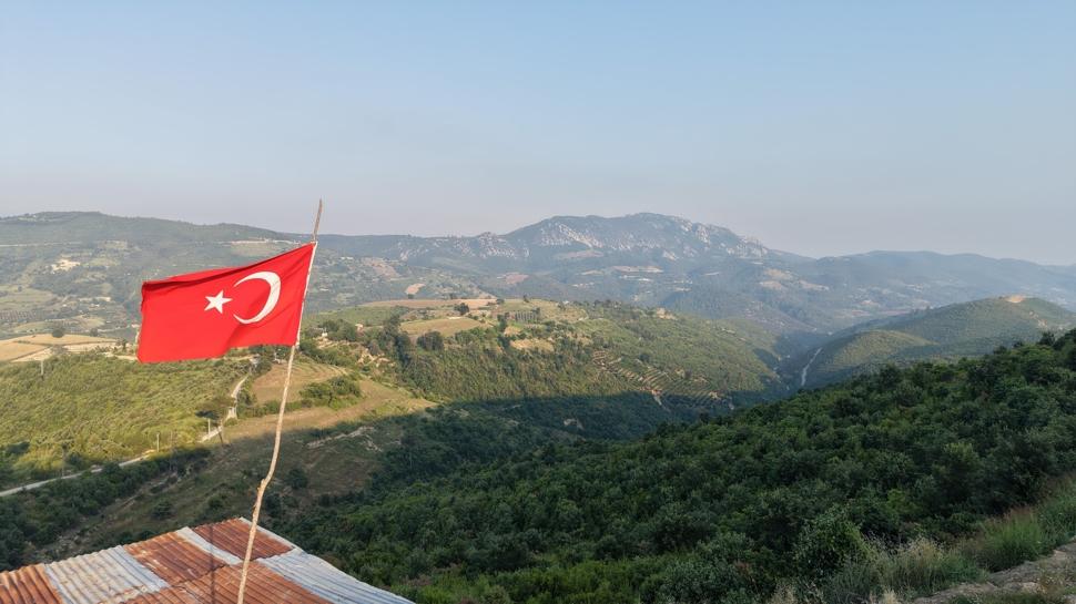 Yanan orman 6 yıl sonra küllerinden doğdu