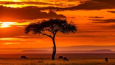 Afrika'n�n bilinmeyen y�z�... Daha �nce duymad���n�z ger�ekler!