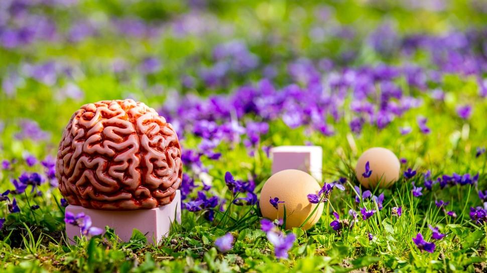 Alzheimer riskini artıran faktörler neler? Uzmanlar uyarıyor