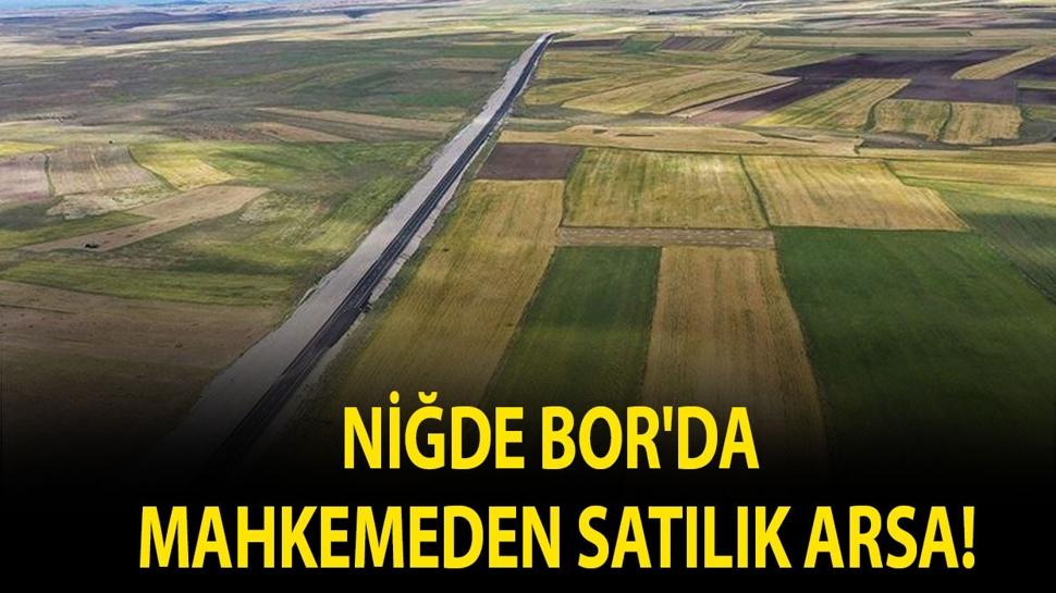 Niğde Bor'da mahkemeden satılık arsa!
