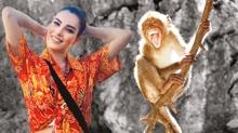 S�r �l�mde �maymun' ��phesi