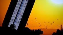 Meteoroloji b�lge b�lge uyard�: Hava �s�n�yor