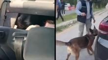 2 haftal�k bilan�o a��kland�: Uyu�turucu sat�c�lar�na b�y�k darbe