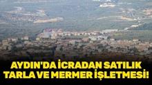Ayd�n Bozdo�an'da icradan sat�l�k tarla ve mermer i�letmesi!