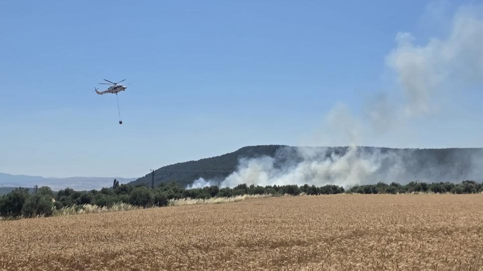 Çanakkale'de korkutan yangın! Havadan ve karadan müdahale edildi