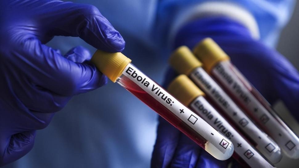 DSÖ, Ebola raporunu açıkladı: KDC'de 1048 vaka doğrulandı