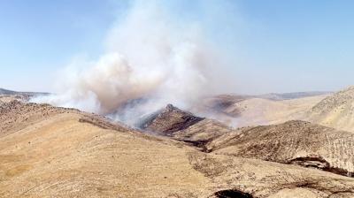 Mardin'de korkutan anız yangını... Alevler kontrol altına alındı