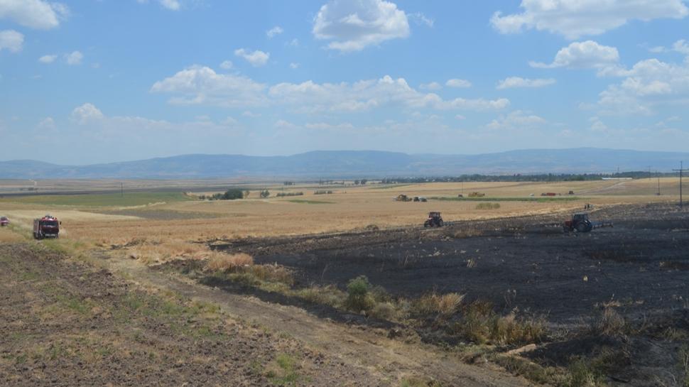 Amasya'da yangın! Alevler 40 dönüm ekili araziyi sardı