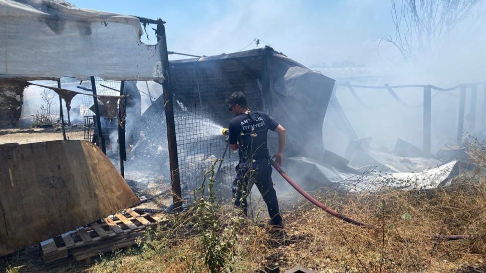 Antalya'da korkunç yangın! 6 konteyneri alevler sardı