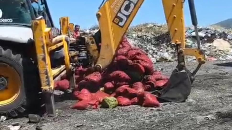 Manisa'da 4 ton midye imha edildi