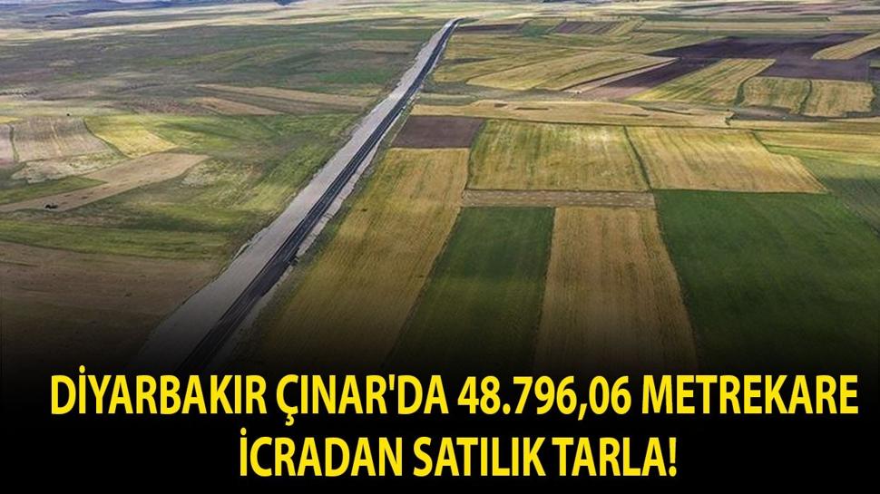 Diyarbakır Çınar'da 48.796,06 metrekare icradan satılık tarla!