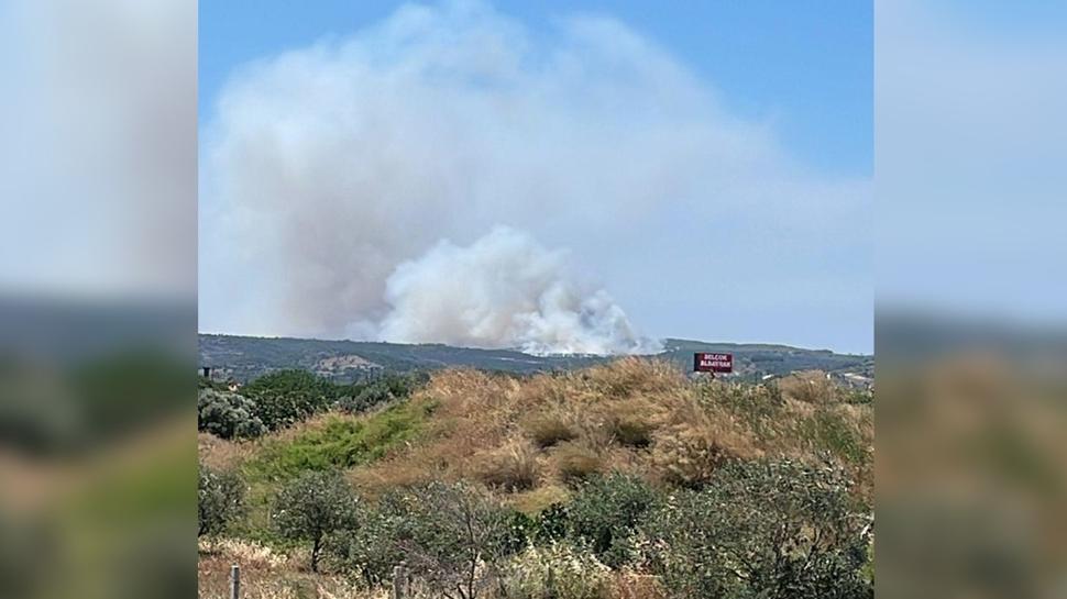 İzmir'de yangın! Çöplükte başladı makilik alana sıçradı