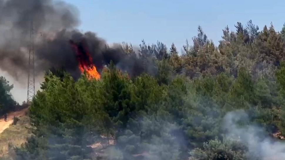 Muğla'da yangın alarmı! Zirai alanda başladı, ormana sıçradı