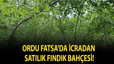 Ordu Fatsa'da icradan sat�l�k f�nd�k bah�esi!