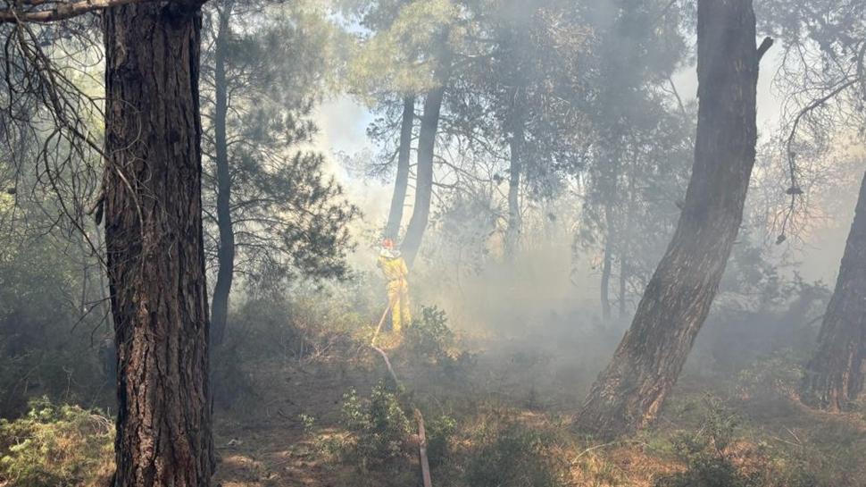 Çanakkale'de alevlerle mücadele! Tarım arazisindeki yangın hızla yayılıyor