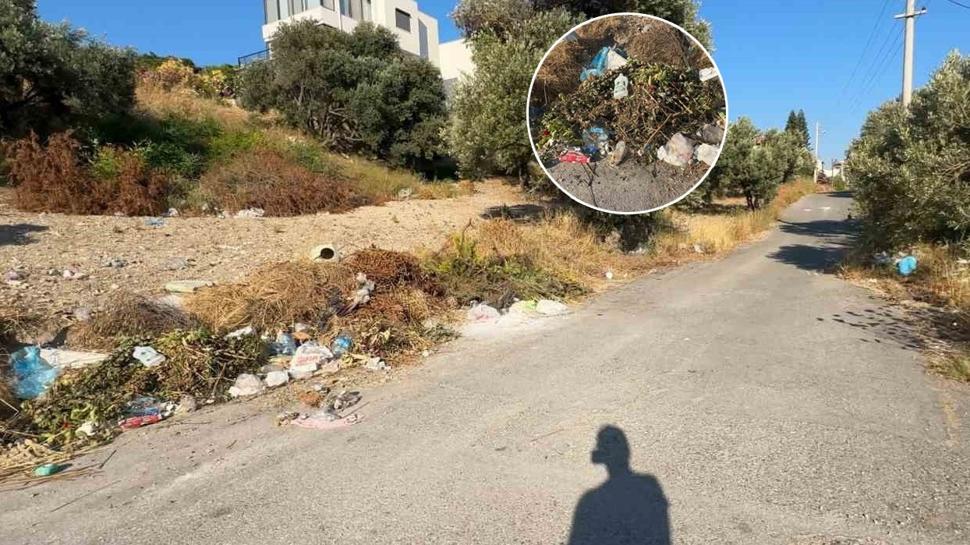 Yol kenarları çöple doldu: Mahalleli CHP'li belediyeye isyan etti