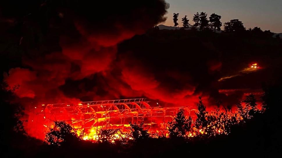 Antalya'da sera yangını: Alevler kontrol altına alındı