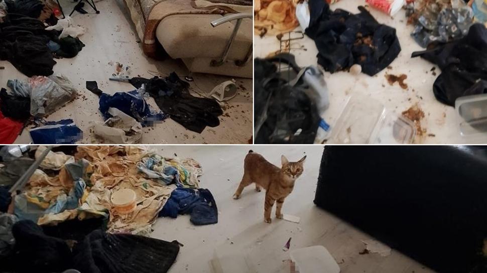 Apartman ayağa kalktı! Pis koku ihbarına şoke eden manzara