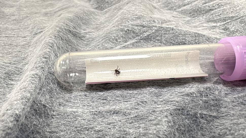 Bir kenti KKKA hastalığı şüphesi sardı: 18 kişi hastaneye kaldırıldı