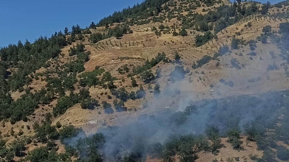 Ekipler müdahale ediyor: Diyarbakır'da orman yangını