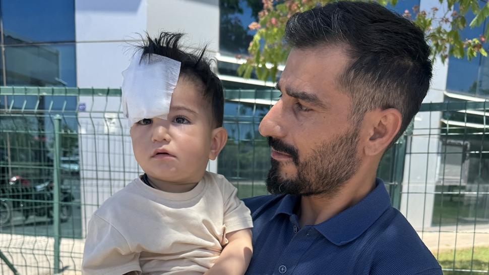 Sahipsiz köpek kabusu bitmiyor! Minik çocuğa saldırdılar