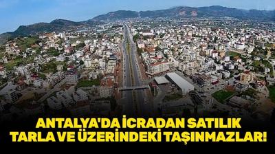 Antalya Gazipaşa'da icradan satılık tarla ve üzerindeki taşınmazlar!