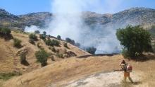 Ekipler m�dahale ediyor: Diyarbak�r'da �rt� yang�n�