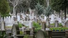 T�rkiye'de 2025'te �l�m ve �l�m nedenleri belli oldu