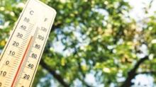 Gen� kalpleri s�cak hava vuruyor! A��r egzersizden ka��n�n