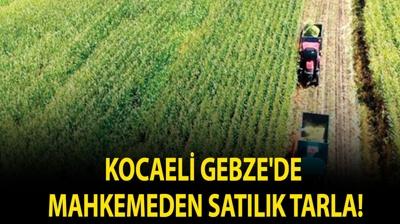 Kocaeli Gebze'de mahkemeden sat�l�k tarla!