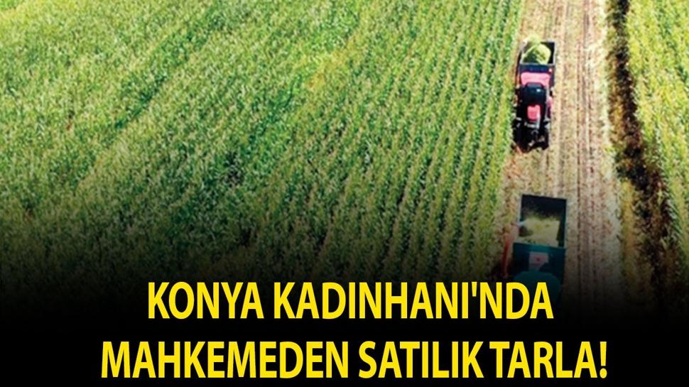Konya Kadınhanı'nda mahkemeden satılık tarla!