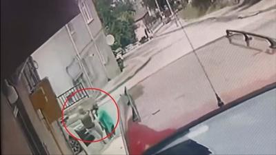 Cani karde�ten aile katliam�