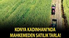Konya Kad�nhan�'nda mahkemeden sat�l�k tarla!