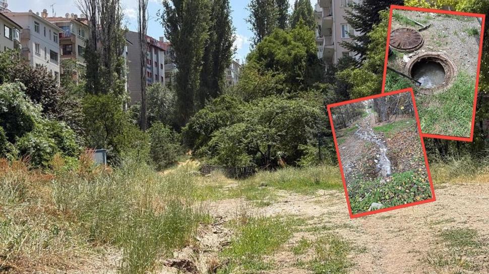 Ankara'nın göbeğinde "vadi" krizi! Vatandaş koku ve pislikten bıktı: Boy göstermeyin, hizmet edin