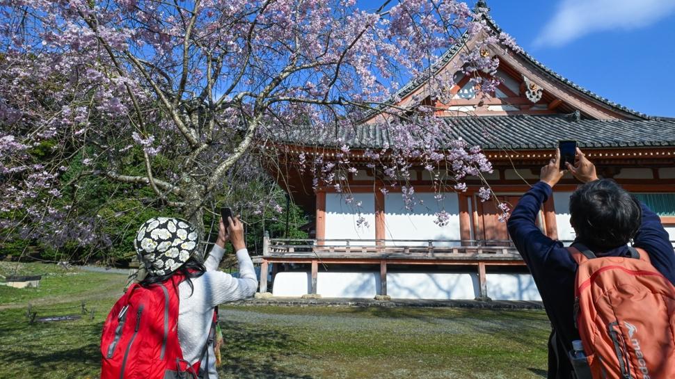 Japonya'n�n zamana direnen �ehri Kyoto... ��te ziyaret etmek i�in 7 neden