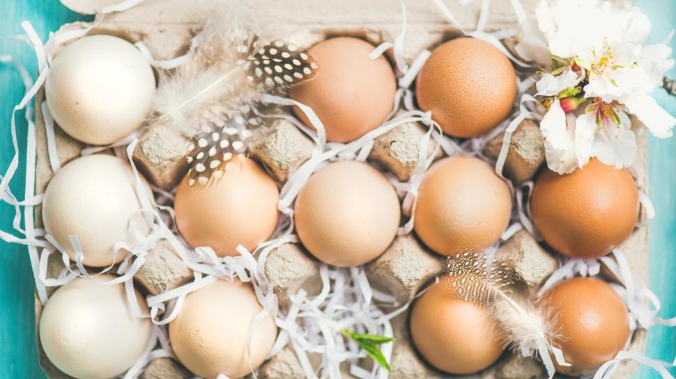 Kahvaltıda yumurta tüketmenin faydaları neler?
