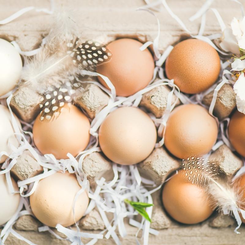 Kahvalt�da yumurta t�ketmenin faydalar� neler?