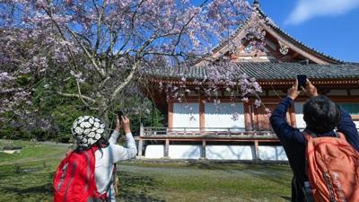 Japonya'n�n zamana direnen �ehri Kyoto... ��te ziyaret etmek i�in 7 neden