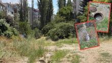 Ankara'n�n g�be�inde ''vadi'' krizi! Vatanda� koku ve pislikten b�kt�: Boy g�stermeyin, hizmet edin