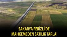 Sakarya Ferizli'de mahkemeden sat�l�k tarla!