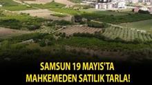 Samsun 19 May�s'ta mahkemeden sat�l�k tarla!