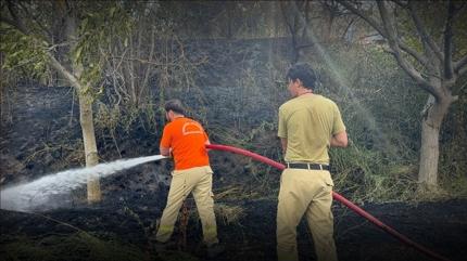 Karab�k'te ��kan yang�n s�nd�r�ld�: Jandarma kaplumba�a ve yavrular�n� alevlerin aras�ndan kurtard�