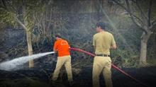 Karab�k'te ��kan yang�n s�nd�r�ld�: Jandarma kaplumba�a ve yavrular�n� alevlerin aras�ndan kurtard�