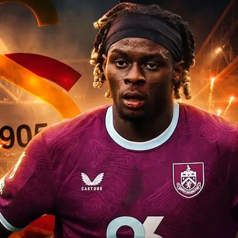 Aslan'a Frans�z Dinamo