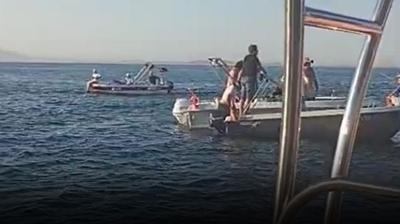 Yalova'da iki gemi birbirine girdi: 2 ki�i denize atlayarak kurtuldu