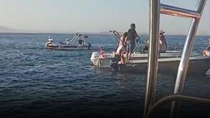 Yalova'da iki gemi birbirine girdi: 2 ki�i denize atlayarak kurtuldu